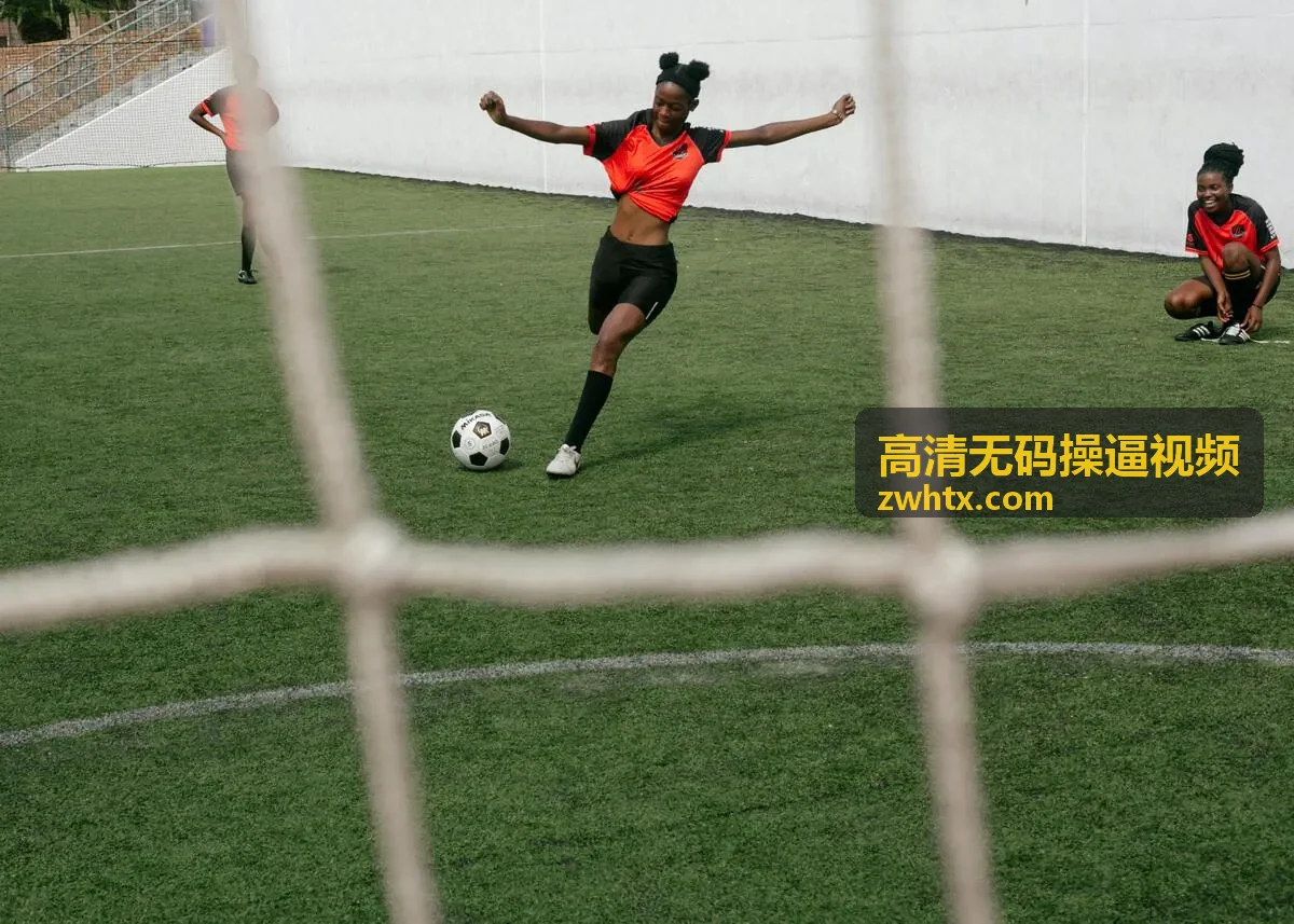 无码高清片库 高清无码操逼视频
