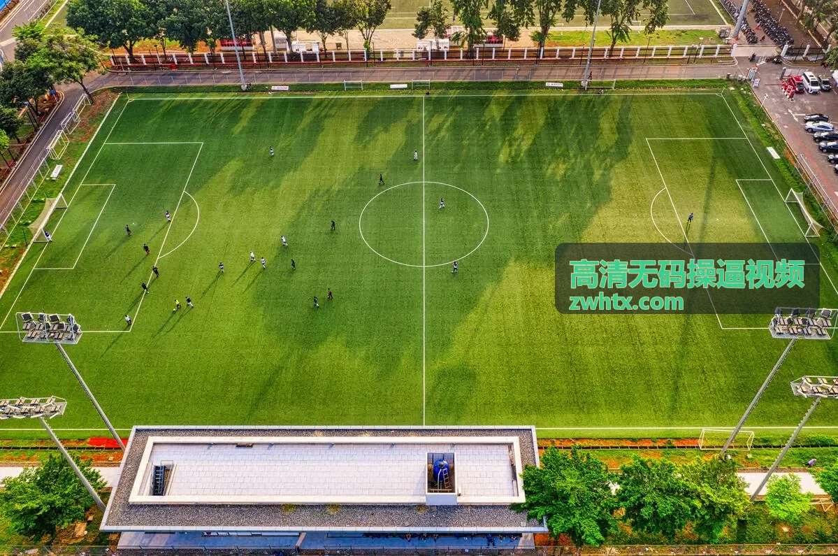 熟女系列高清无码操逼视频